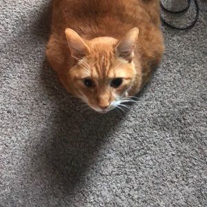 Meet your Posher, Jena